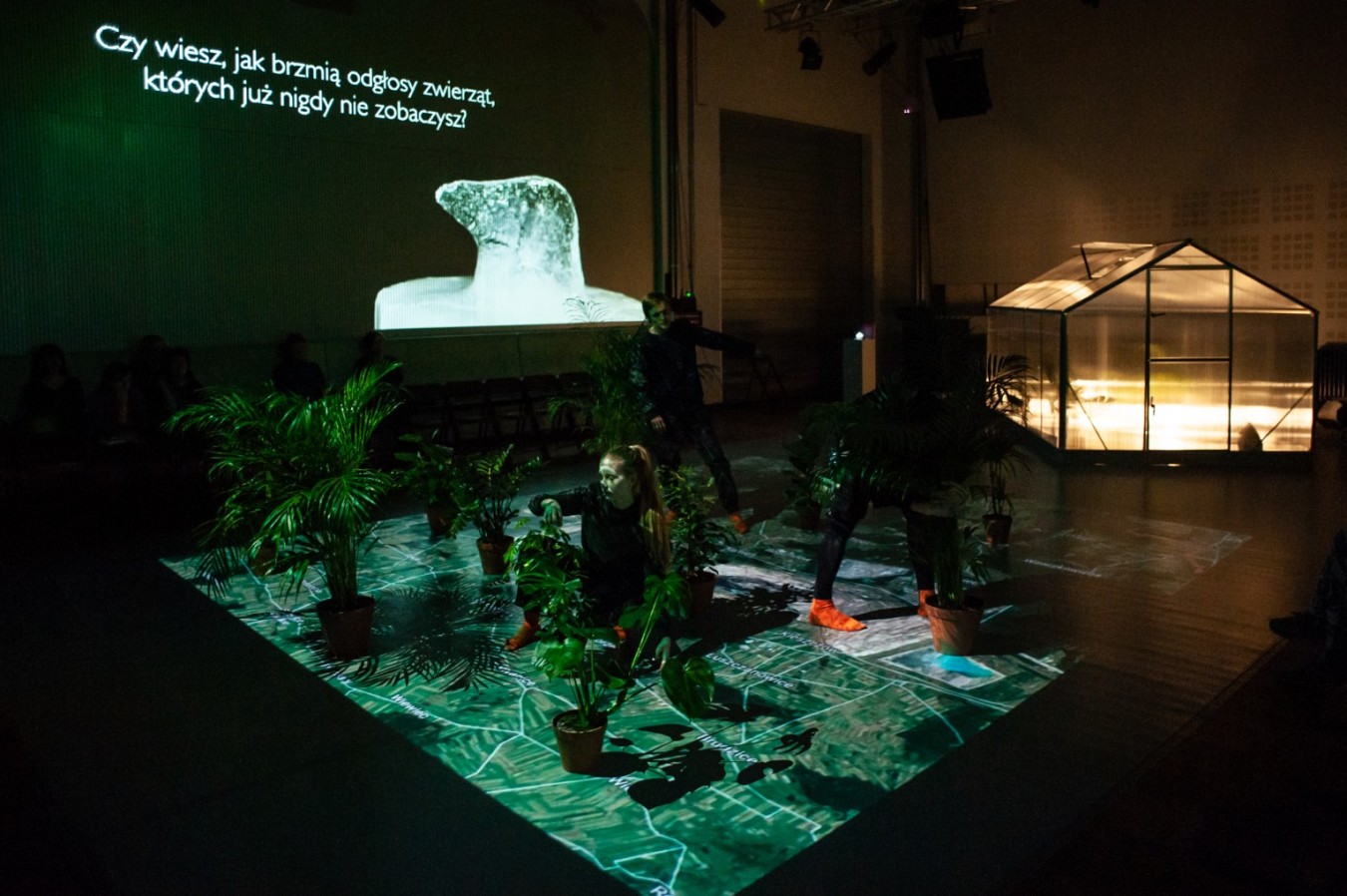 Nowy Teatr w Warszawie, Ostatni: Ewelina Pankowska, Bartosz Bielenia