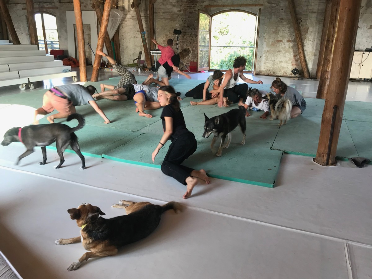 Barbara Berti, Workshop. Dance of the being Barbara Berti, Workshop. Dance of the being