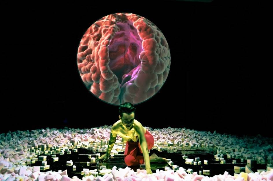 Instytut Teatralny im. Zbigniewa Raszewskiego, Malina