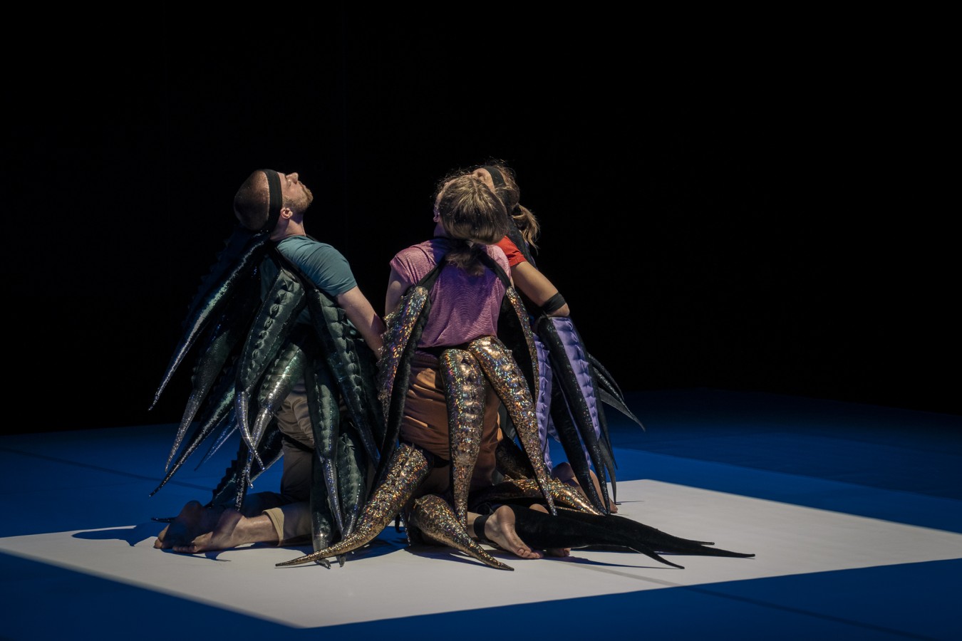 Kolektyw Holobiont, Mój ogon i ja