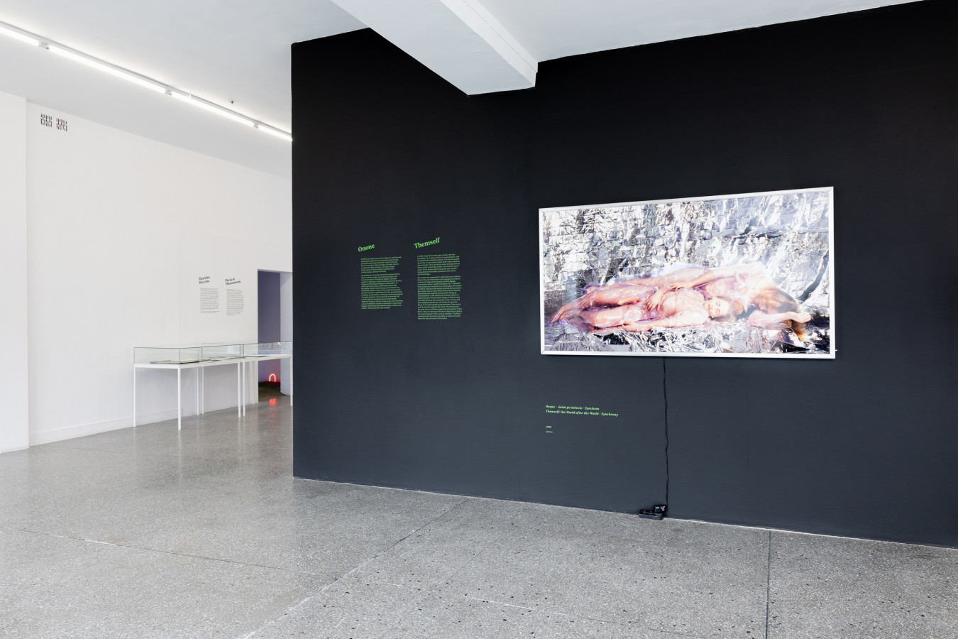 Alicja Żebrowska „Tajemnica patrzy. Prace z czasu transformacji”; fot. Alina Żemojdzin © Gdańska Galeria Miejska