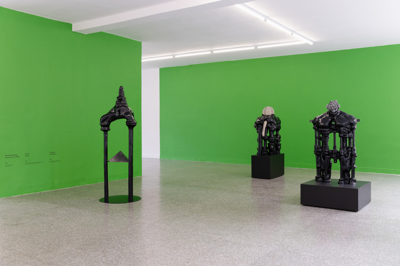 Alicja Żebrowska, The Mystery Is Looking: Works from the Transition Period; photo: Alina Żemojdzin © Gdańska Galeria Miejska