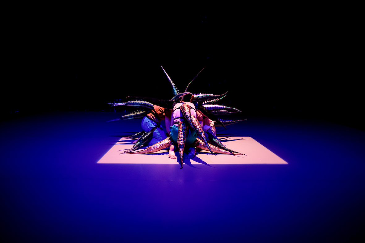 Kolektyw Holobiont, Mój ogon i ja; fot. Marek Zakrzewski