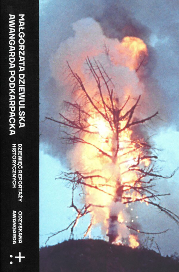 Okładka książki Małgorzaty Dziewulskiej pt. Awangarda podkarpacka. Dziewięć reportaży historycznych, Instytut Teatralny im. Zbigniewa Raszewskiego, Warszawa 2024
