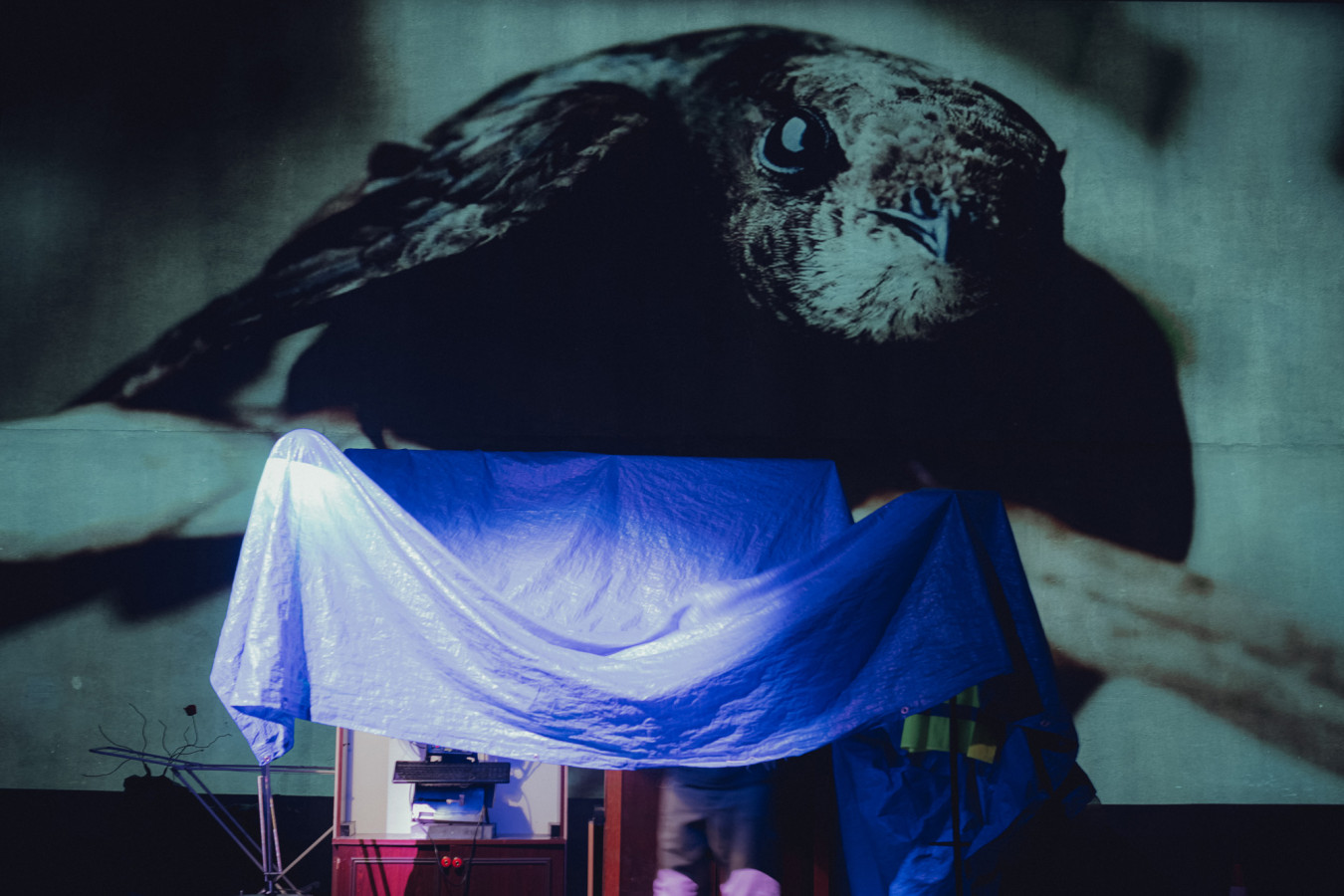 Teatr Łaźnia Nowa, Wyrwa; fot. Klaudyna Schubert 