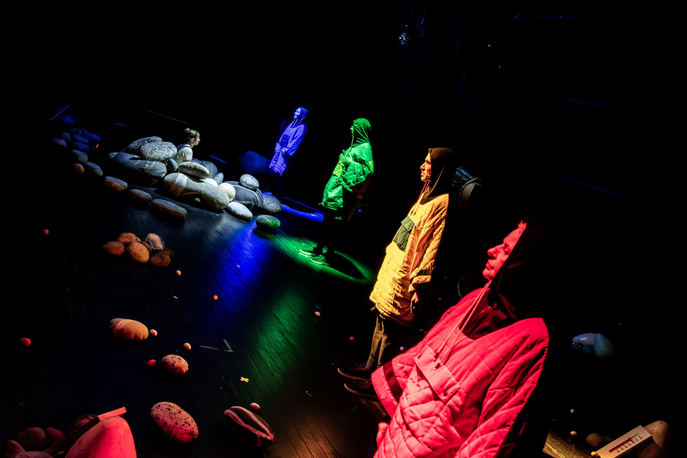 Wrocławski Teatr Współczesny, Atlas ptaków; fot. Filip Wierzbicki 