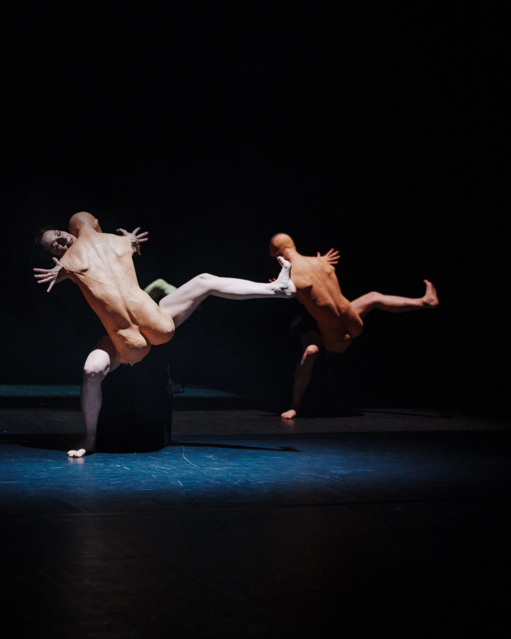 Vilniaus Teatras “Lėlė”, The Choice; fot. Piotr Nykowski