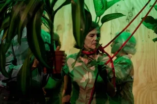 Lola Arias, Melancholia i manifestacje